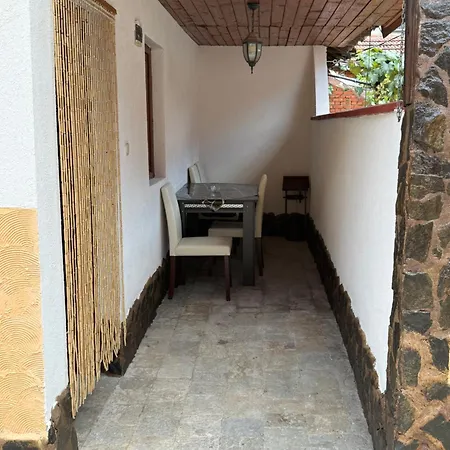 леон * Belogradcsik